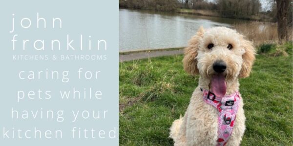 Caring for Pets While Having Your Kitchen Fitted